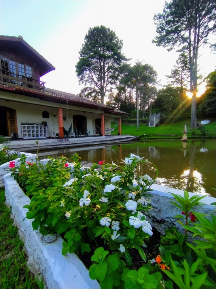 Chcara - Venda - Mandassaia - Campina Grande do Sul - PR