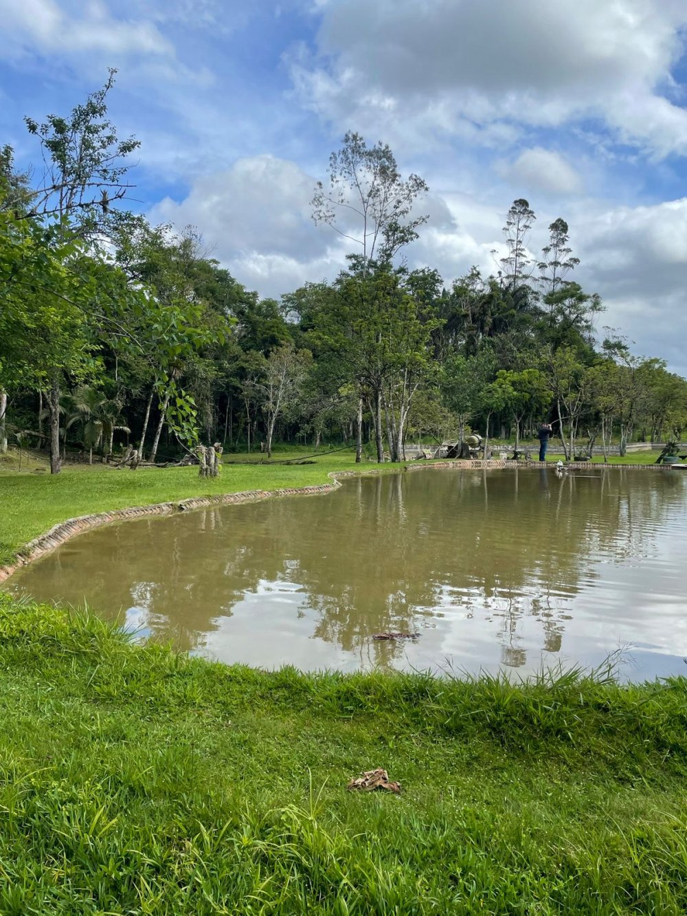 Chcara - Venda - Ribeiro - Campina Grande do Sul - PR