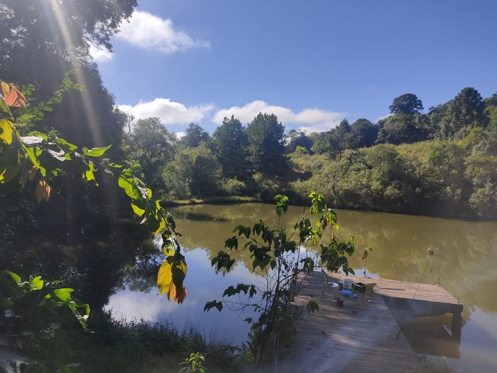 Chcara - Aluguel - Rural - Quitandinha - PR