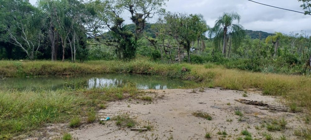 Chcara - Venda - Jaguatirica - Campina Grande do Sul - PR