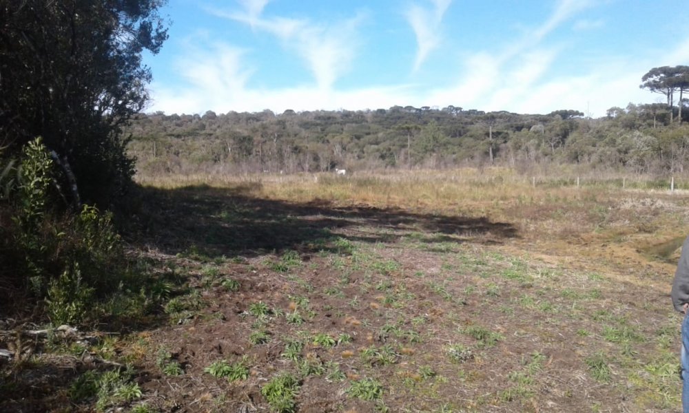 Fazenda - Venda - Rural - Mallet - PR