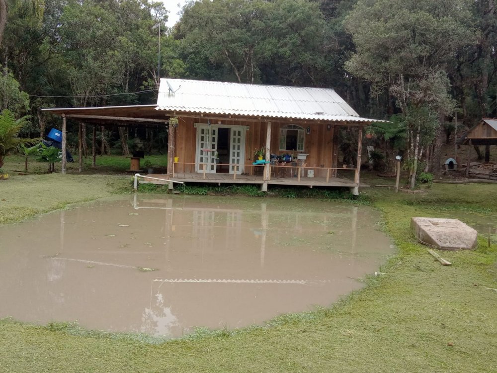 Casa - Venda - Borda do Campo - So Jos dos Pinhais - PR