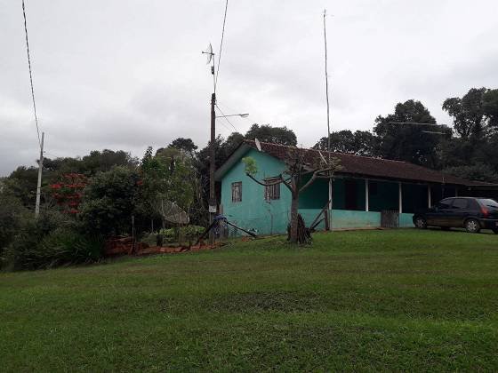 Chcara - Venda - Papagaios Novos - Palmeira - PR