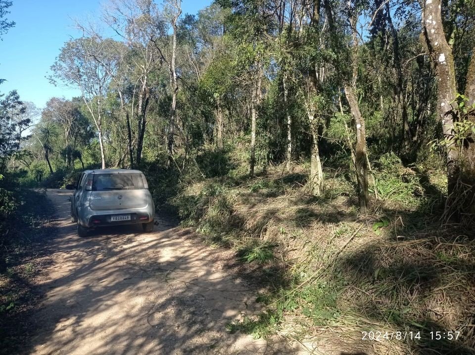 Terreno - Venda - Mato Dentro - Almirante Tamandar - PR