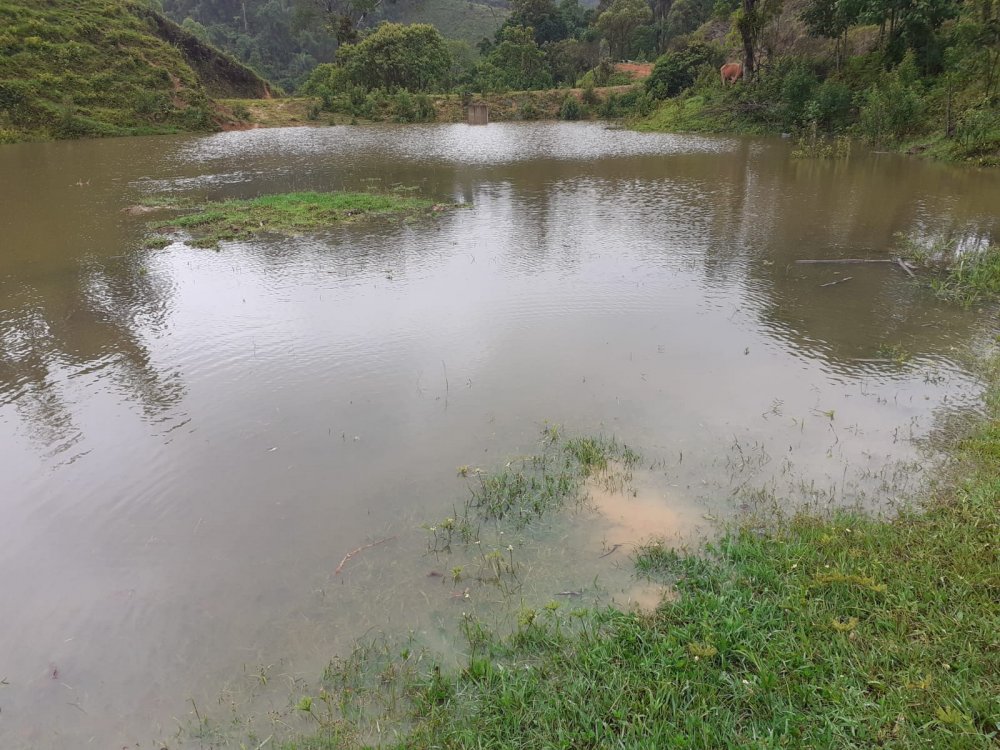 Chcara - Aluguel - Zona Rural - Campina Grande do Sul - PR