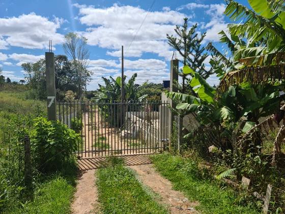 Chcara - Venda - Areia Branca dos Assis - Mandirituba - PR