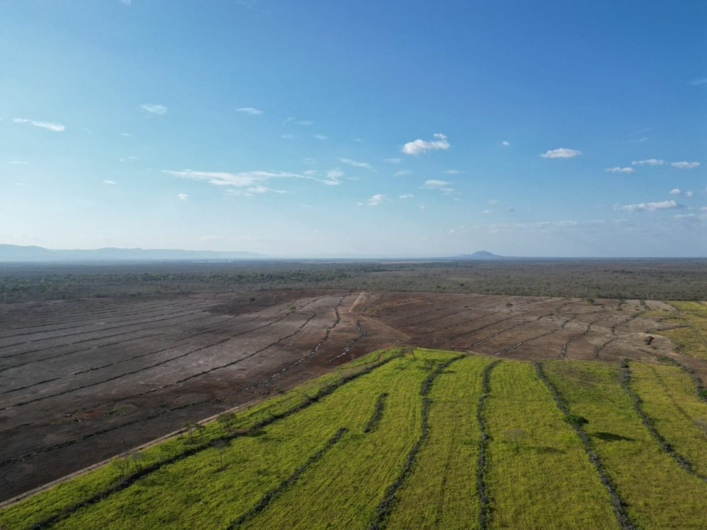 Fazenda - Venda - Rural - Camaari - BA