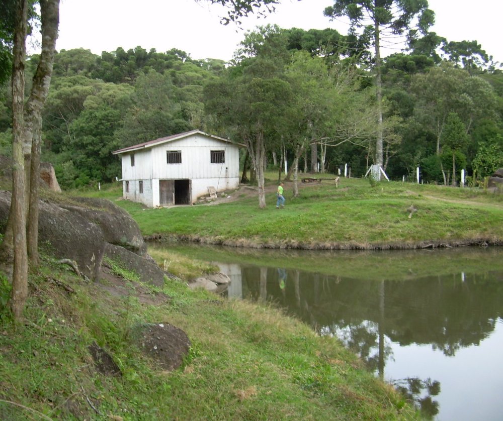 Chcara - Venda - Rural - Quatro Barras - PR