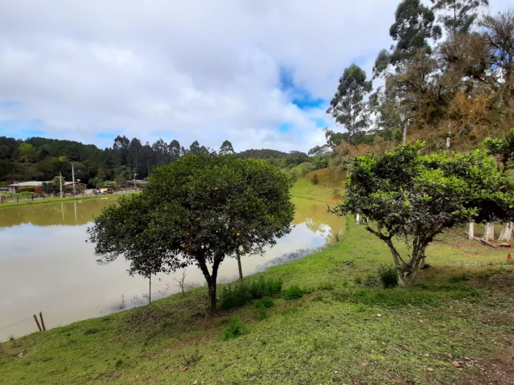 Chcara - Aluguel - Mandassaia - Campina Grande do Sul - PR