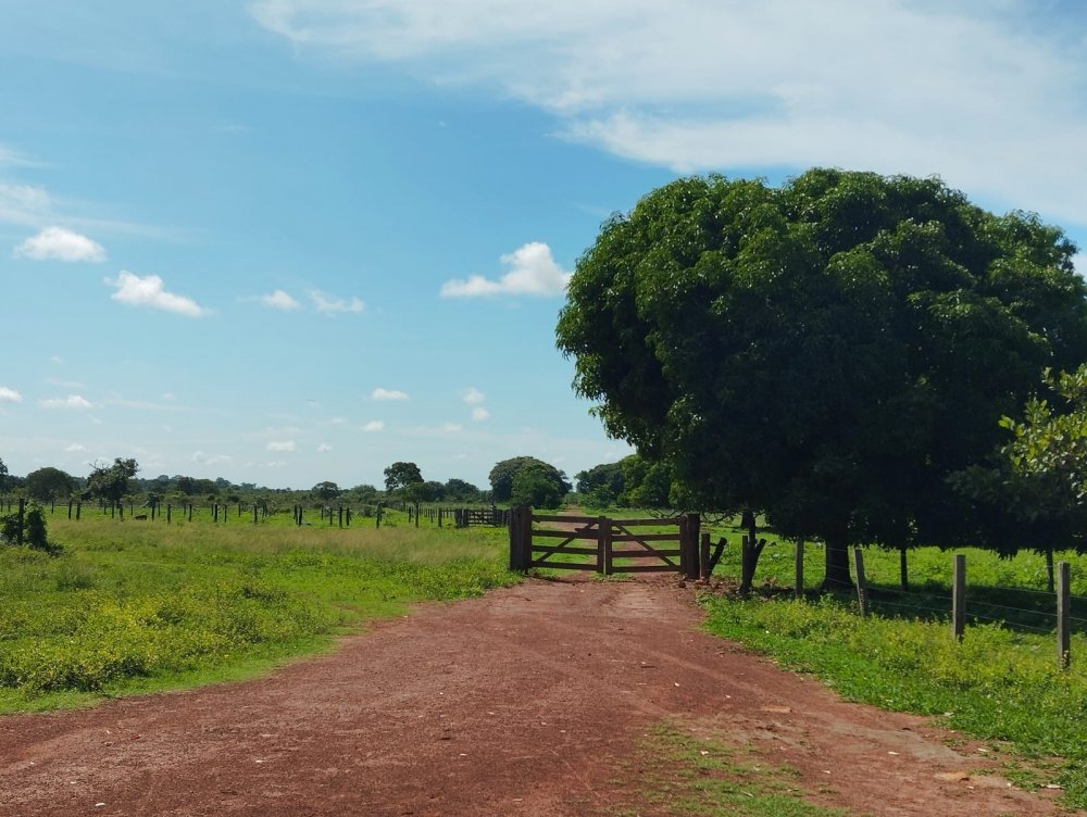 Fazenda - Venda - Rural - So Flix do Araguaia - MT