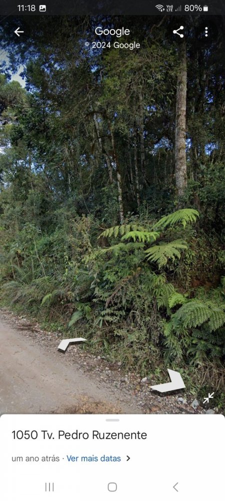 Terreno - Venda - Eugenia Maria - Campina Grande do Sul - PR