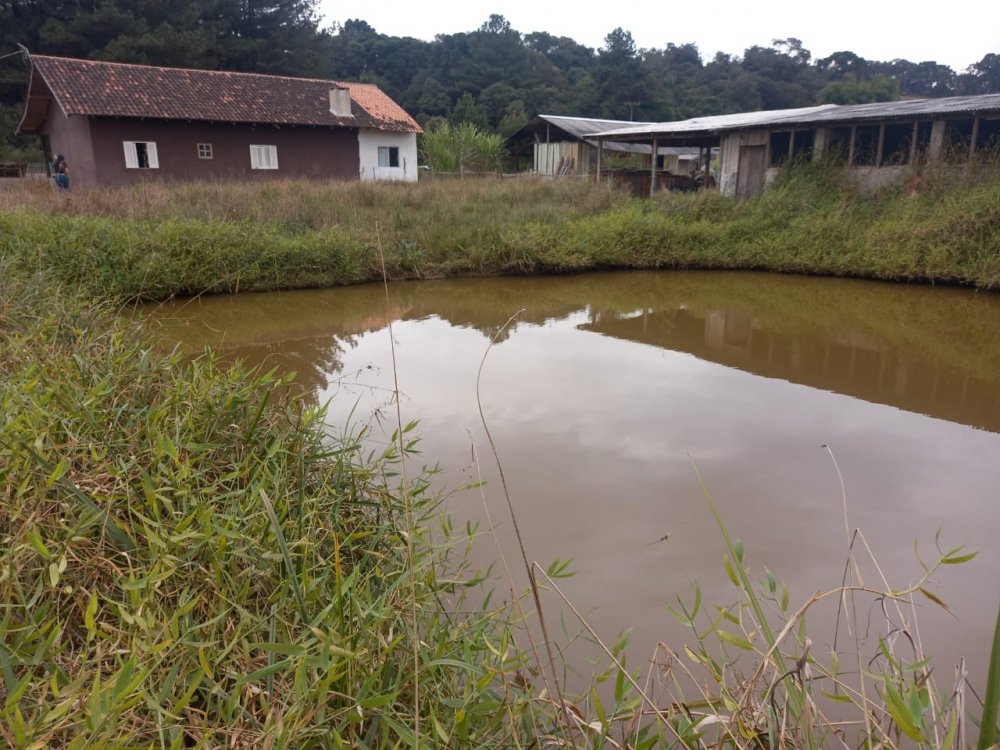 Chcara - Venda - Campina da Barra - Araucria - PR