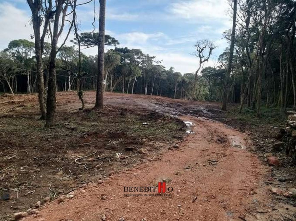 Chcara - Venda - rea Rural de So Jos dos Pinhais - So Jos dos Pinhais - PR